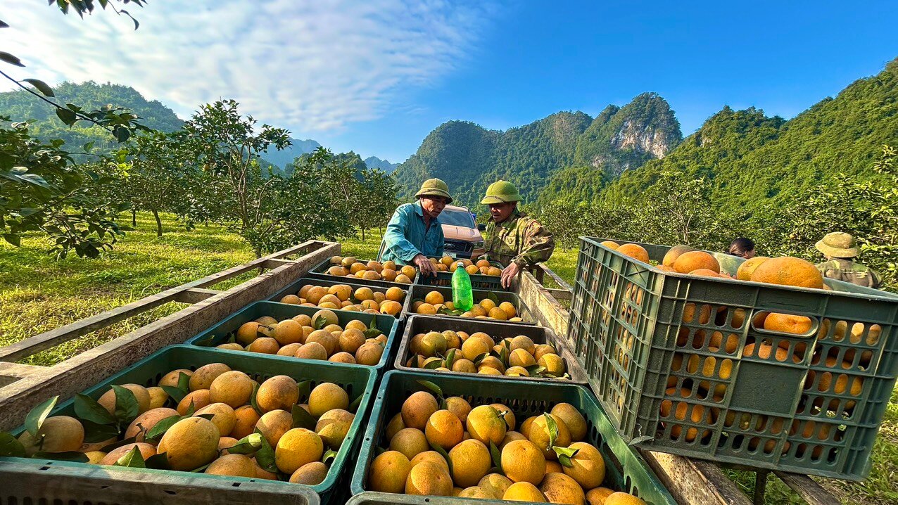 Begin your visa-prepared day with Vietnam’s tranquil ambiance